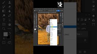 Autumn Color Effect in Photoshop