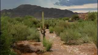 20120731 Anthem, AZ Monsoon resultant flood
