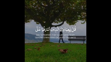 Surah Az-Zumar with English translation   سوره الزمر