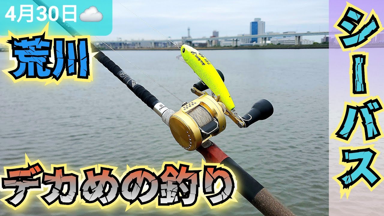 バチ抜けシーズン到来　23, ディアルーナ86l-s 他のシマノシーバスロッドには無い個性が魅力！シマノ '23ディアルーナ