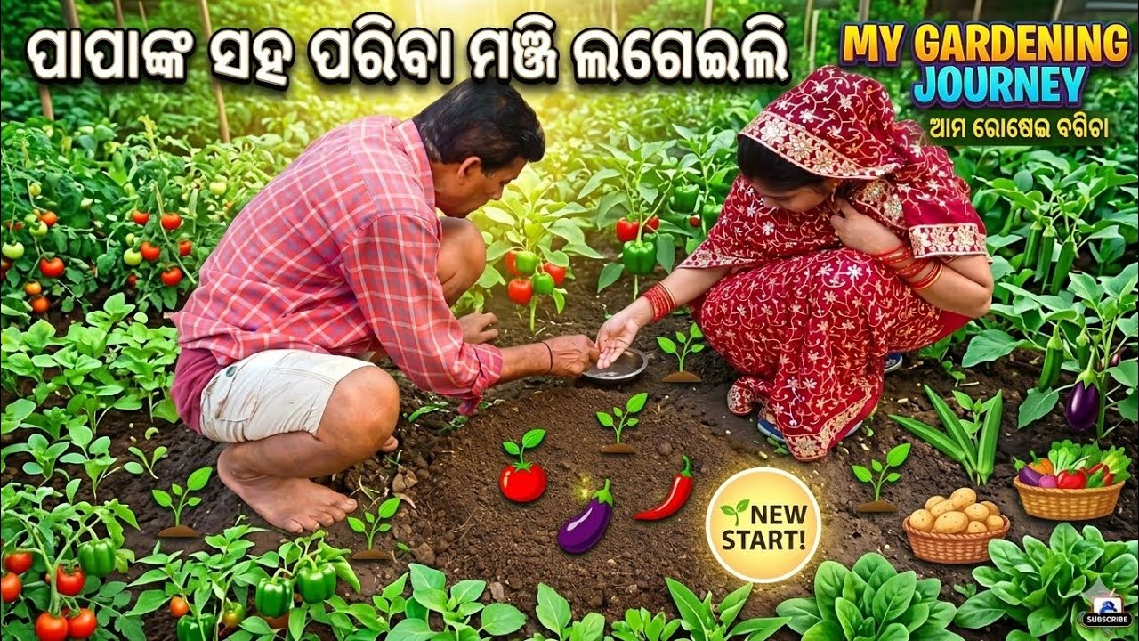 ଆମ ବାଡ଼ି ଦେଖିଲି 🏡 | ପାପାଙ୍କ ସହ ପରିବା ମଞ୍ଜି ଲଗେଇଲି 🌱 | Village Life Vlog | SatyarpitA Vlogs