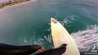 Surf Windansea