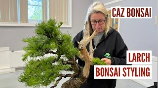 Caz Bonsai Workshop - Larch Styling Advice