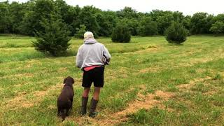 Apr Andi Land Double