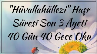 Hüvallahüllezi Haşr Süresi Son 3 Âyeti 40 Gün 40 Gece Oku Kayıp Dualar