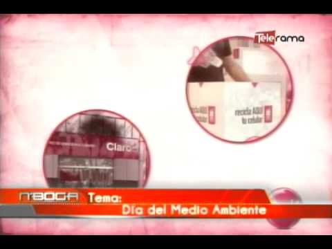 Día del medio ambiente