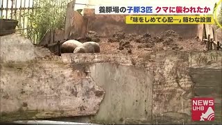 「味をしめていないか心配」養豚場の