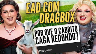 Tentamos responder Perguntas de Conhecimentos Gerais | EAD com Dragbox