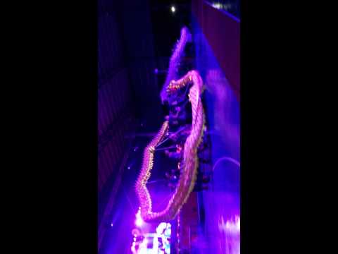 太平华联国中龙狮团  表演