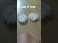 How to make a tail