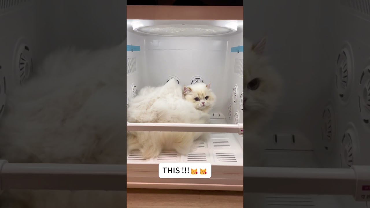 Dry me first then kiss kiss PLEASE!! 