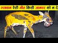 भगवान ऐसी सजा किसी भी जानवर को ना दे 10 most inspiring animal rescue