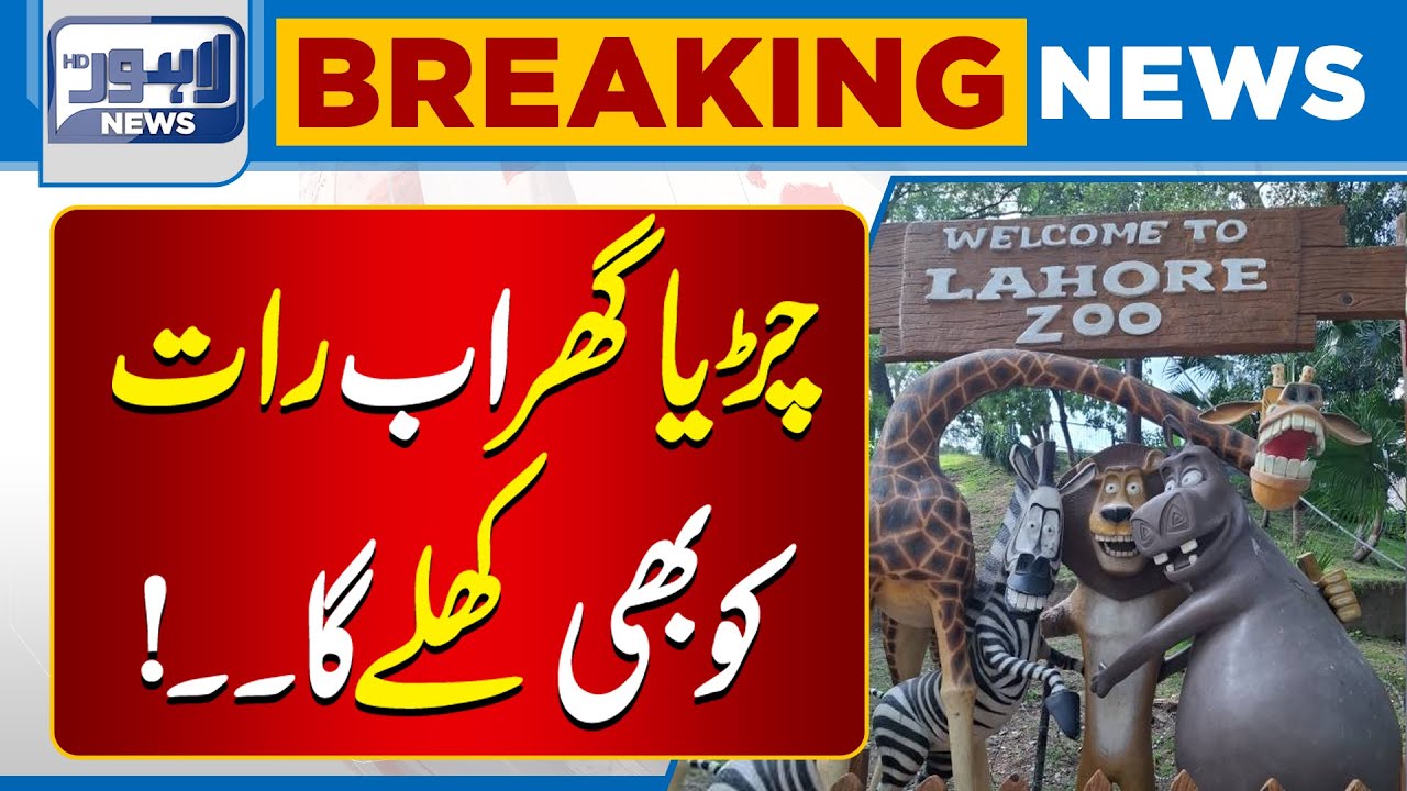 Good News For Kids | Lahore Zoo Now Open for Night Visits | Lahore News HD