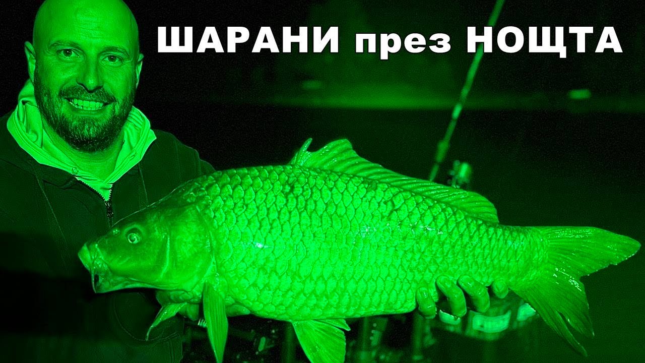 НОЩЕН РИБОЛОВ на МЕТОД ФИДЕР - КАК да СЪБЕРЕМ РИБИТЕ на ХРАНИТЕЛНОТО ПЕТНО