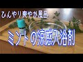 ミントの入浴剤の作り方★ひんやり爽やか