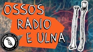 Anatomia óssea dos MMSS - (Parte 3/5) - Ossos do antebraço - RÁDIO E ULNA