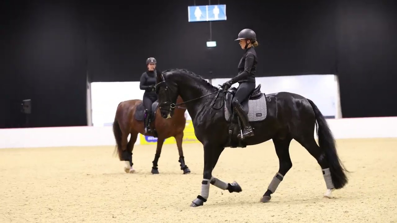 Переходы, переходы, переходы! Бекки Муди о том, насколько они на самом деле важны | Your Horse