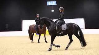 Transitions, transitions, transitions! Becky Moody on how important they really are |  Your Horse