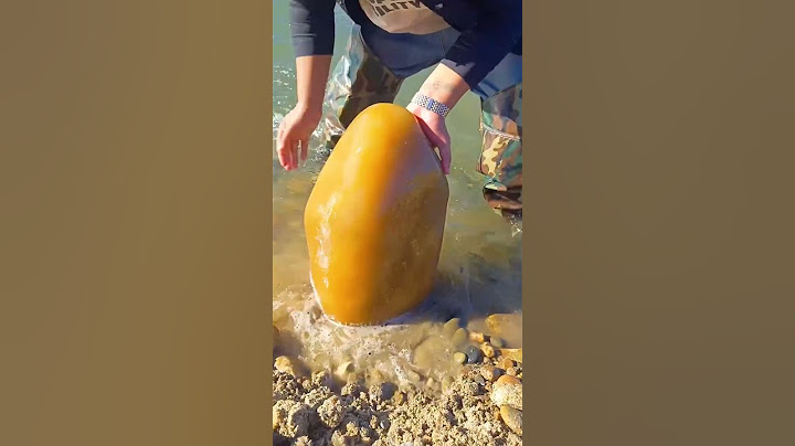 This boy found an incredible stone in the sea 👏