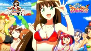 南国育ち羽根　曲~『潮騒キュインFortune.』