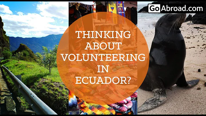 Volunteer Abroad in Ecuador