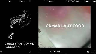Vannamei Shrimp, Udang Indonesia IQF process. Export Quality