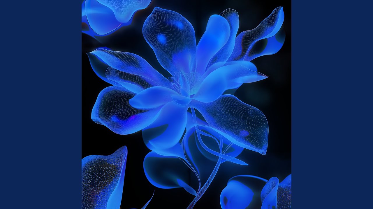 Watch The Picasso Bug (Original Mix) on YouTube Watch The Picasso Bug (Original Mix) on YouTube