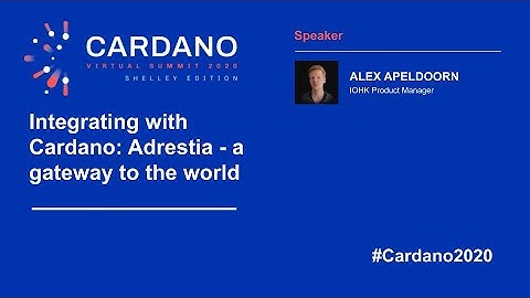 Integrating with Cardano: Adrestia - Gateway to the world.