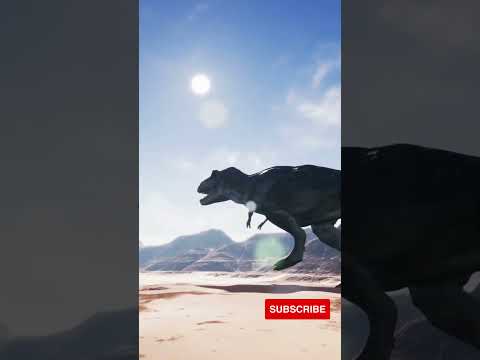 Top largest creatures