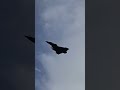 Kabar Terkini: Upacara Rafale Pending Tanpa Batas Waktu! #rafale #rafaleindonesia #infomiliter
