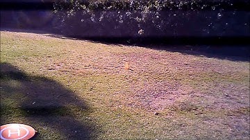 Drones and Radio-Frequency Interference (RFI)