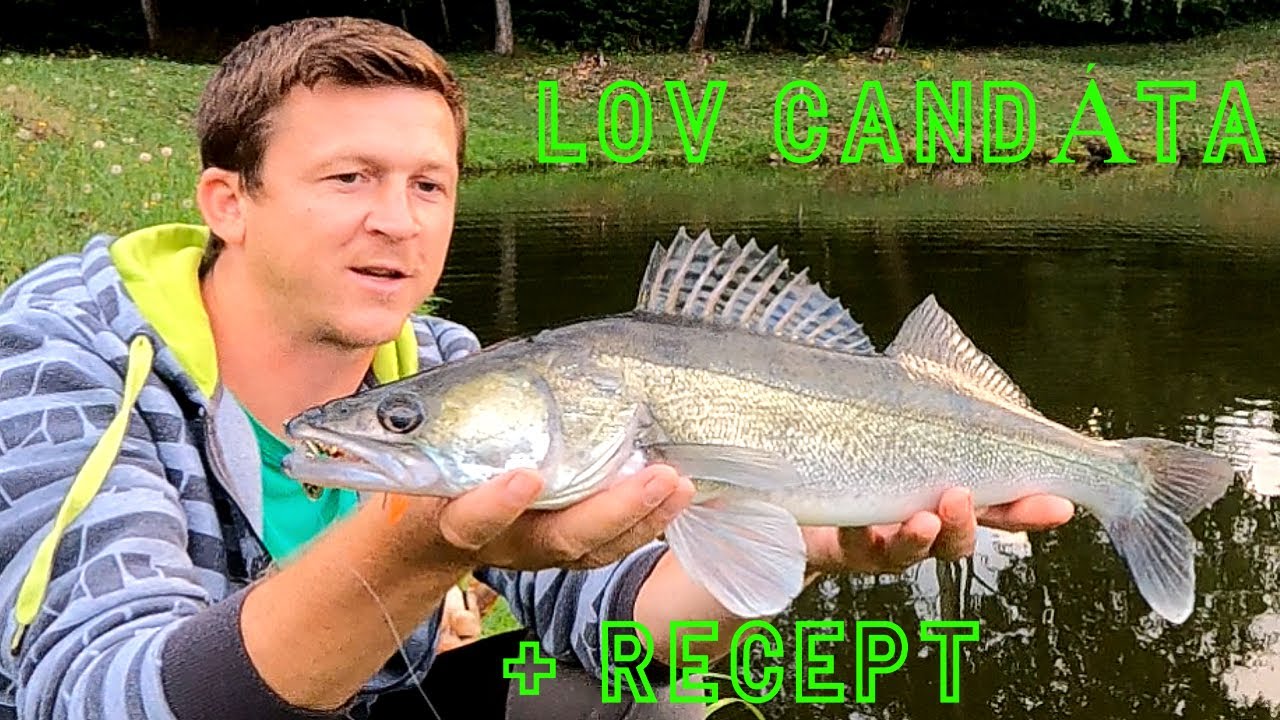 JAK NA CANDÁTY!... (( přívlač )) odtajněná nástraha !!!