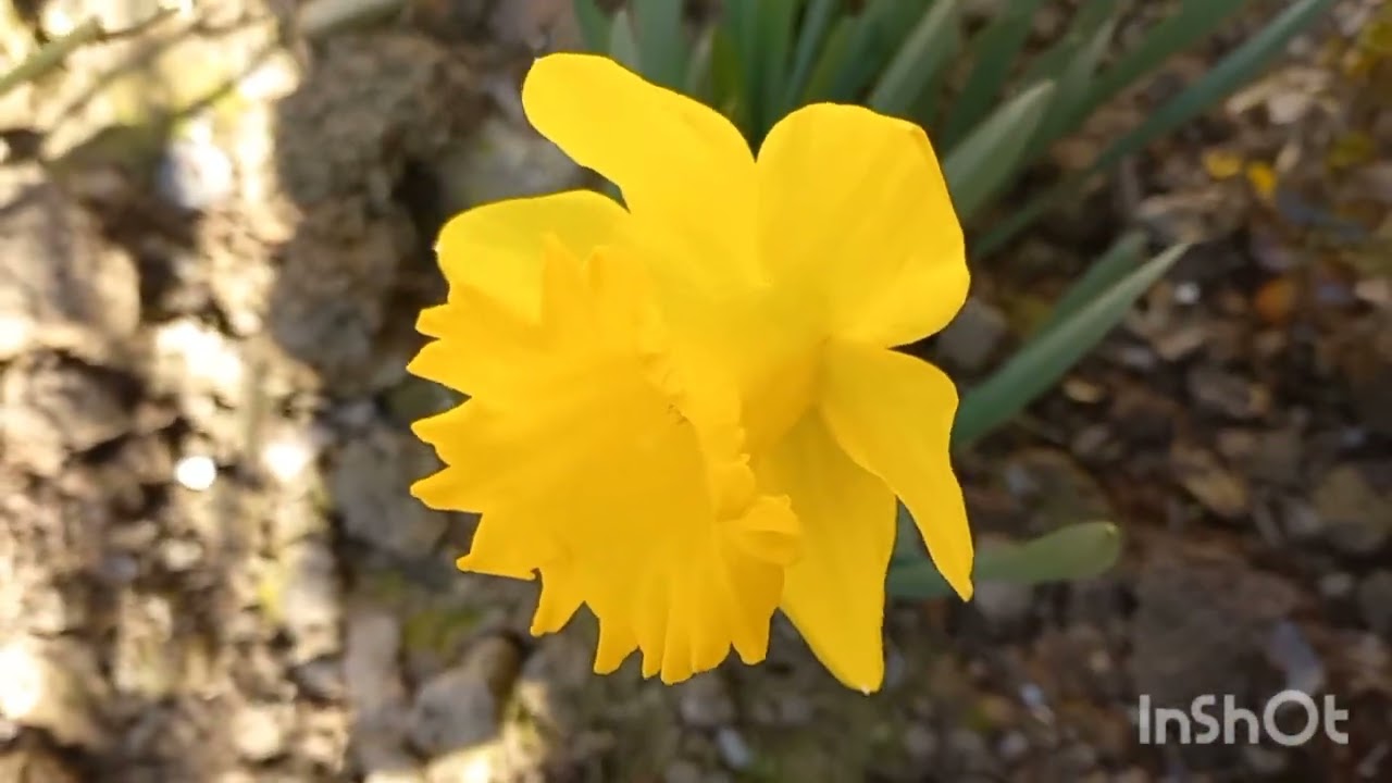 20 ФЕВРАЛЬ  ВЫЮШИЙ АТИРГУЛ ЭКДИМ🪷🏵🌹🪷🏵🌹🪷🏵🌹🪷🏵🌹🪷🏵🌹