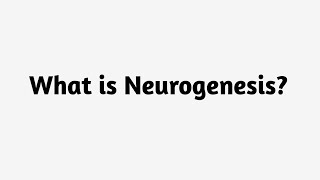 What is Neurogenesis ?