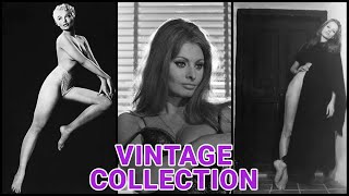 Vintage Beauty Collection: Iconic Historical Photos & Uncovering The Unseen Vintage Photographs