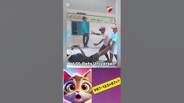 Making Our Own Movie with Cats (Stop-Motion Animation) #cat #cute #duet #funny #shorts #memes #love