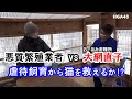 【続報】悪質繁殖業者から猫救出「大網直子vs高齢ブリーダー」全頭引き出しなるか!?