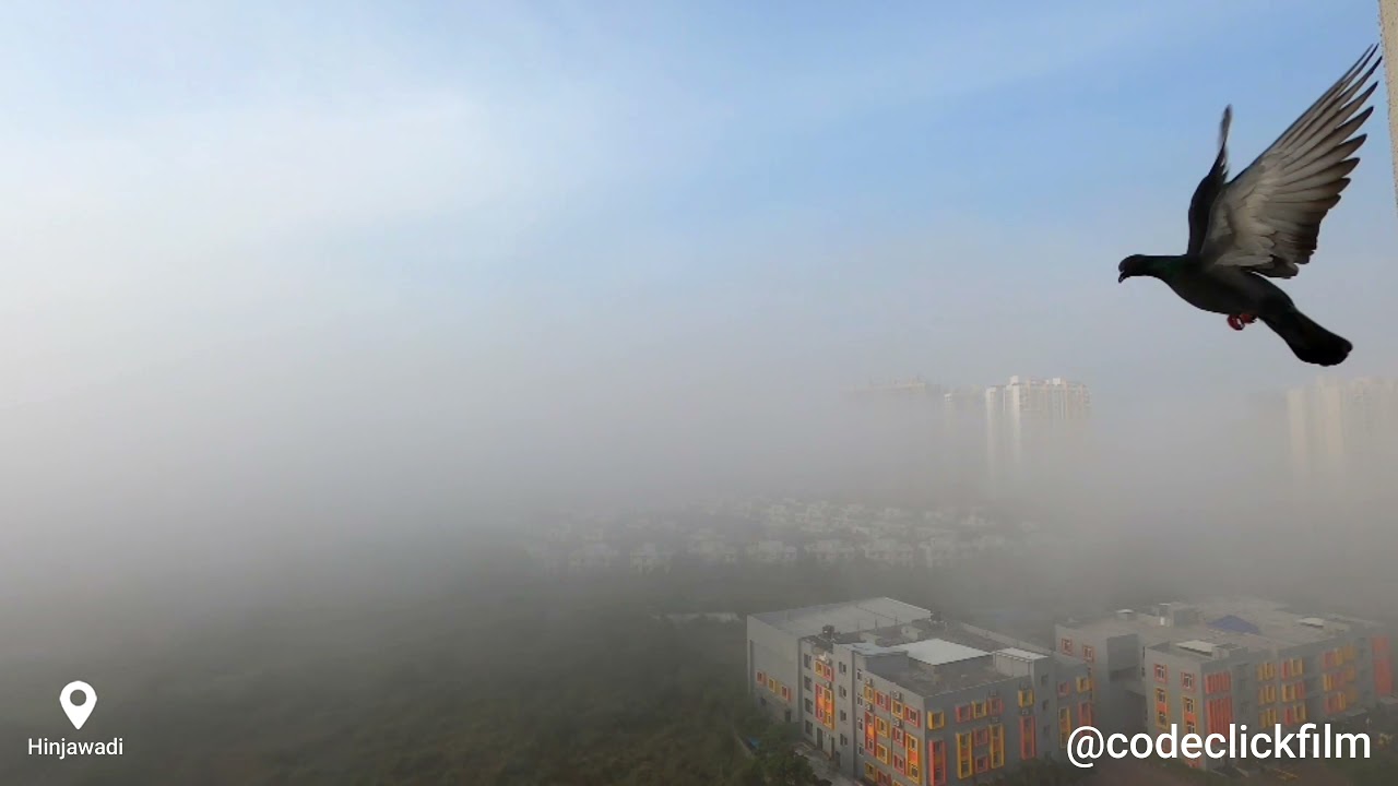 Foggy Morning Hinjawadi,Pune | codeclickfilm 