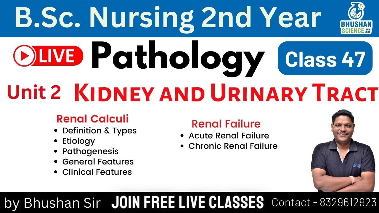 class-47-renal-calculi-and-renal-failure-pathology-and-genetics-b
