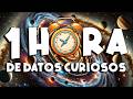 ¡ 1 HORA sin pausas de DATOS CURIOSOS y COSAS QUE NO SABÍAS ! ⏰😲1020 #curiomaníatv