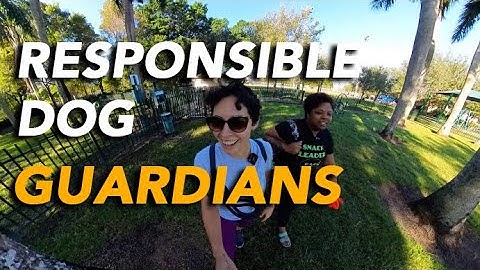 Unleashing Insights: A Deep Dive into Dog Behavior and Responsible Guardianship | The Combine Dog