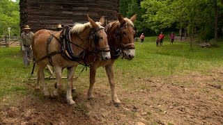 THE HOMEPLACE