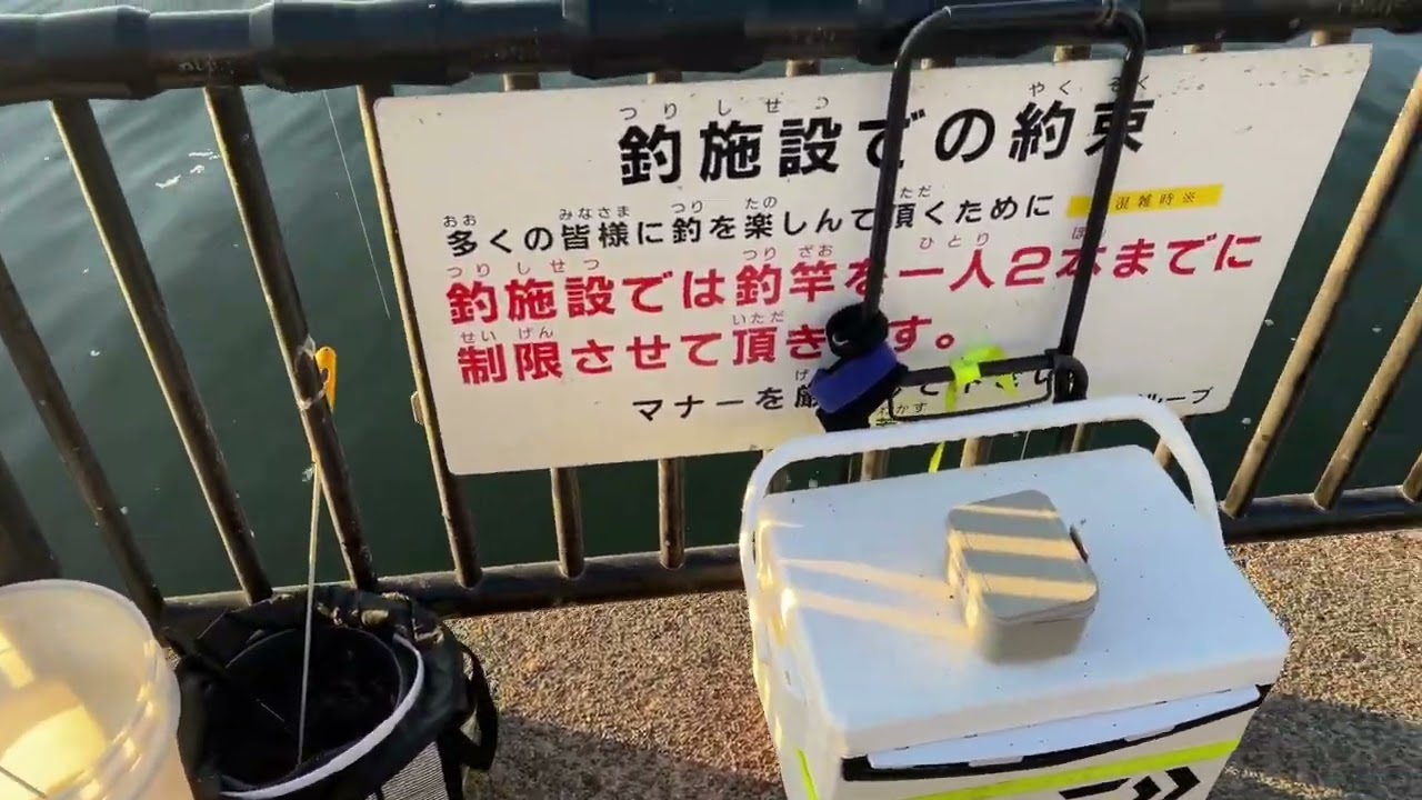 若洲海浜公園ヘチ釣り