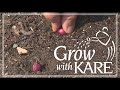 Grow with Kare: Why you should be planting onions in the fall