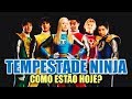 TEMPESTADE NINJA hoje em dia