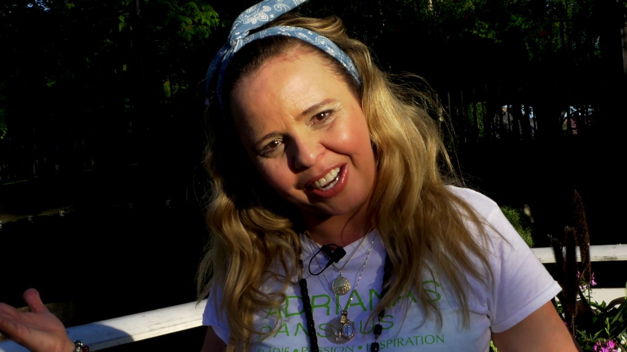 Adrianas Danshus Liseberg 02