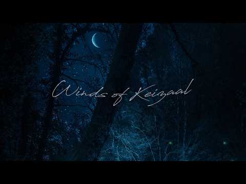 1 hour of Ambient Fantasy Music - ''Winds of Keizaal''🌲(Skyrim Chapter II)