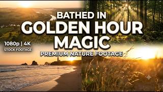 Golden Hour Nature Escape | 4K Sunset Visuals for Deep Relaxation, Sleep & Stress Relief