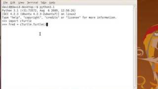 Famous All About Turtles (Part 1) Net Worth