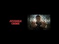 Juvenile Crime Prevention Strategies